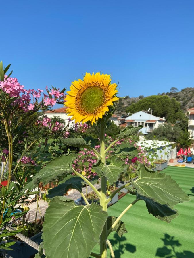 On Oda Oludeniz Hotel Kültér fotó