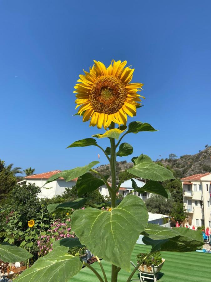 On Oda Oludeniz Hotel Kültér fotó